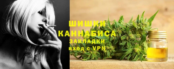 стафф Майский