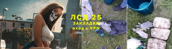 стафф Майский