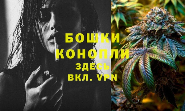 мяу мяу мука Магас