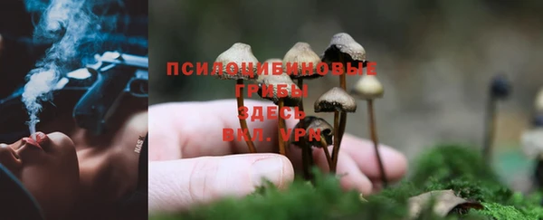 эйфоретик Магадан