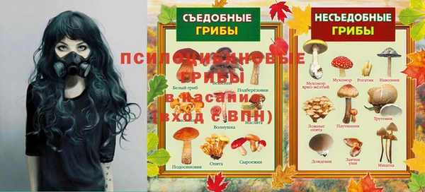 стафф Майский
